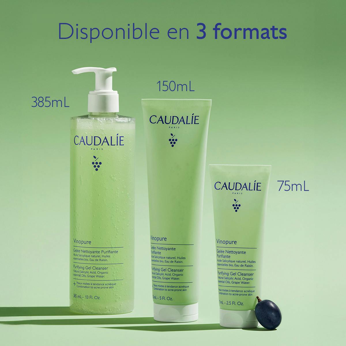 Gelée Nettoyante à l'Acide Salicylique Purifiante - 385mL